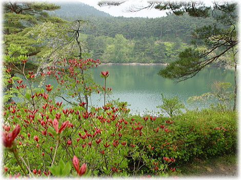  桑折町半田山自然公園